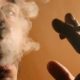 Webinar “Nuevos avances en las políticas de control del tabaquismo: alternativas al tabaco convencional”